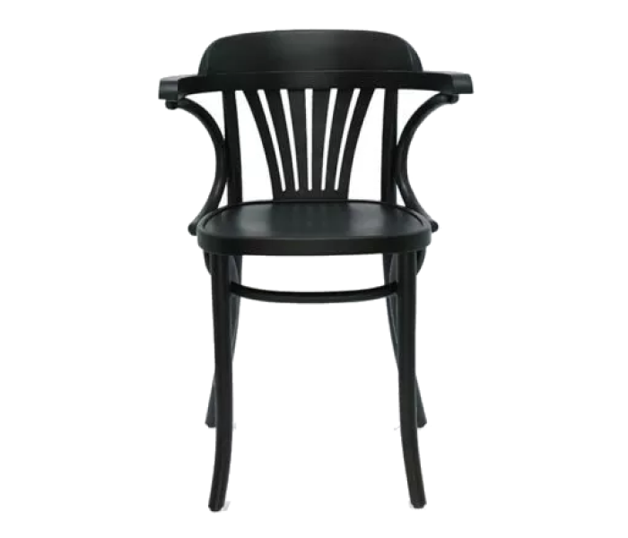 Fanback Bentwood Armchair Polished 3