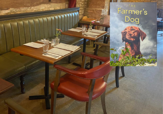 Furniture featured at The Farmers Dog 1