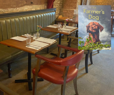 Furniture featured at The Farmers Dog